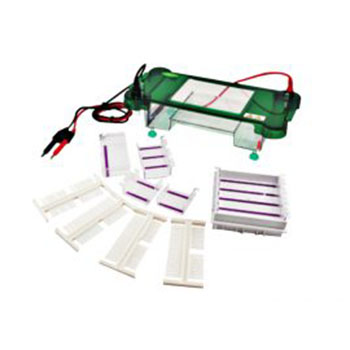 เครื่องแยกสารพันธุกรรมด้วยกระแสไฟฟ้าชนิดแนวนอน ( Horizontal Electrophoresis) รุ่น JY-SPDT ยี่ห้อ JUNYI