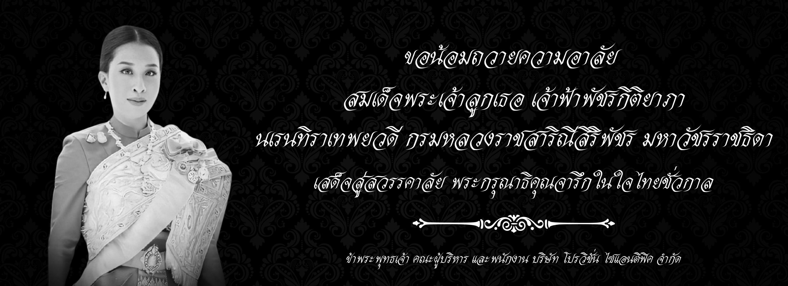 แนวนอน Pro